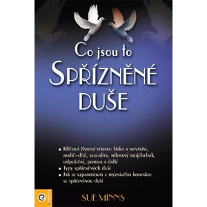 Co jsou to spřízněné duše - Sue Minns