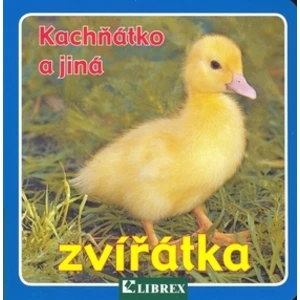 Kachňátko a jiná zvířátka