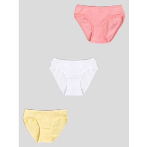 Yoclub Kids's Cotton Girls' Briefs Underwear 3-Pack BMD-0035G-AA30