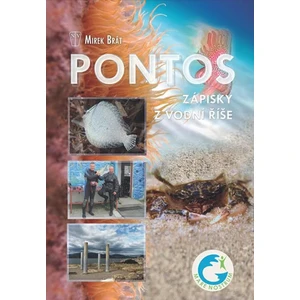 Pontos