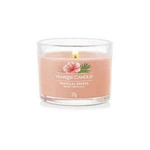 Yankee Candle Tropical Breeze votívna sviečka glass 37 g