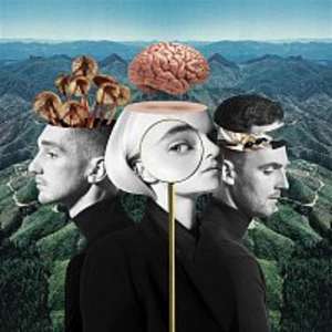 What Is Love? - Clean Bandit [CD album]