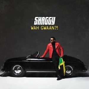 WAH GWAAN?| - SHAGGY [CD album]