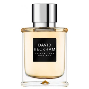 David Beckham Follow Your Instinct toaletná voda pre mužov 50 ml