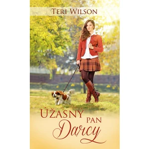 Úžasný pan Darcy - Teri Wilson