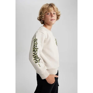 DEFACTO Crew Neck Sweatshirt