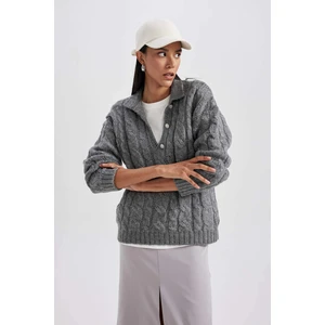 DEFACTO Relax Fit Polo Collar Pullover