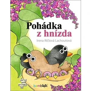 Pohádka z hnízda - Ričlová Lachoutová Irena