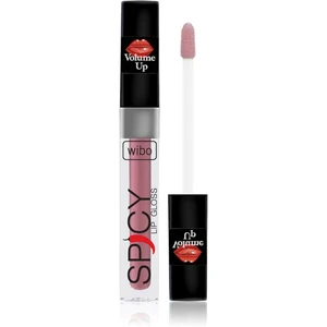 Wibo Lip Gloss Spicy lesk na pery pre väčší objem 20 3 ml