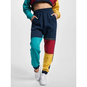 Dangerous sweatpants DNGRS 4C multicolored