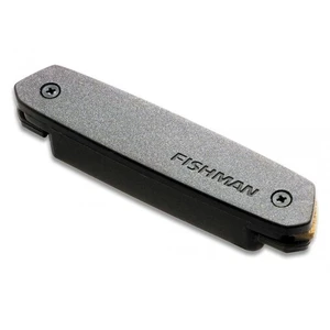 Fishman Neo-D Magnetic Soundhole Humbucker