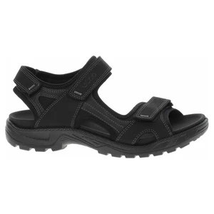 Pánské sandály Ecco 69000451094 black-black 43