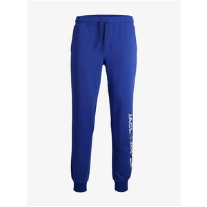 Blue Mens Sweatpants Jack & Jones Gordon - Men