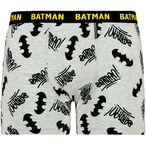 Men's boxer Batman - Frogies