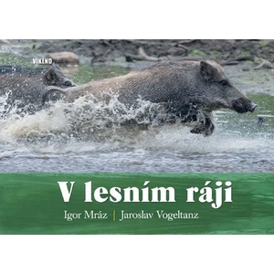 V lesním ráji - Igor Mráz, Jaroslav Vogeltanz