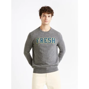 Celio Woolen sweater Cenormal - Men