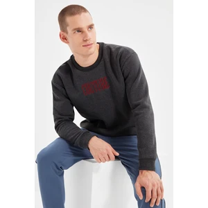 Trendyol Sweatshirt - Gray - Regular fit