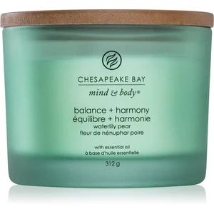 Chesapeake Bay Candle Mind & Body Balance & Harmony vonná svíčka I. 312 g