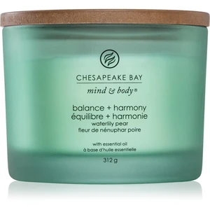 Chesapeake Bay Candle Mind & Body Balance & Harmony vonná sviečka I. 312 g