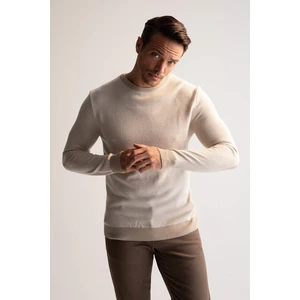 Men's sweater DEFACTO