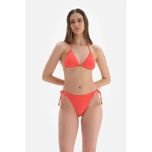 Dagi Orange Triangle Small Bikini Top