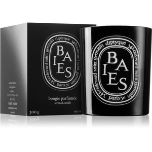 Diptyque Colored Baies vonná svíčka 300 g