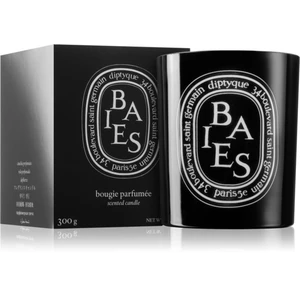 Diptyque Colored Baies vonná sviečka 300 g