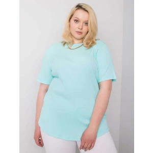 Mint plus size striped blouse