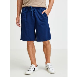 Dark Blue Men's Shorts Lee - Men's