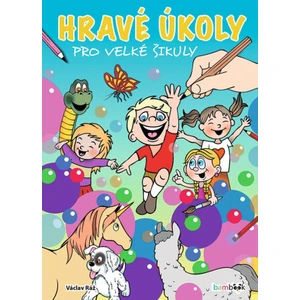 Hravé úkoly pro velké šikuly - Václav Ráž