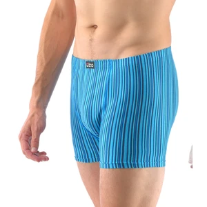 Men's boxers Gino blue