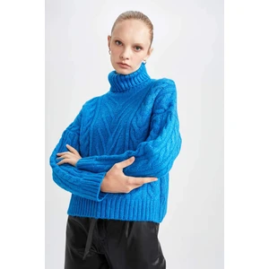 DEFACTO Regular Fit Turtleneck Pullover