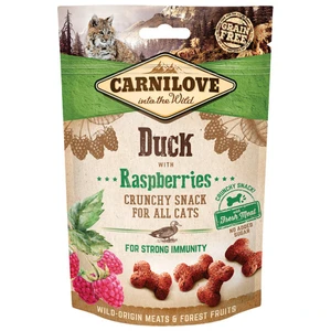 CARNILOVE cat DUCK/raspberries - 50g