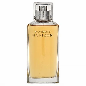 Davidoff Horizon - EDT 125 ml