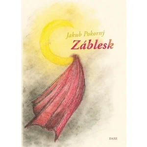 Záblesk - Jakub Pokorný