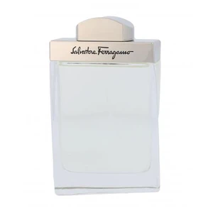 Salvatore Ferragamo Pour Homme toaletná voda pre mužov 100 ml