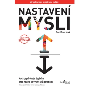 Nastavení mysli – Nová psychologie úspěchu aneb naučte se využít svůj potenciál - Carol Dwecková