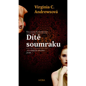 Dítě soumraku - Andrewsová Virginia Cleo