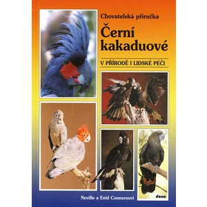 Černí kakaduové -- V přírodě i lidské péči