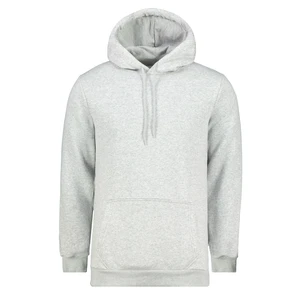 Men's hooded sweatshirt Aliatic