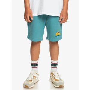 Children's shorts Quiksilver EASY DAY