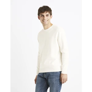 Celio Ribbed Sweater Dexter - Men