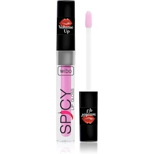 Wibo Lip Gloss Spicy lesk na pery pre väčší objem 3 3 ml