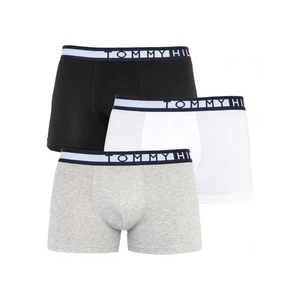 3PACK pánské boxerky Tommy Hilfiger vícebarevné