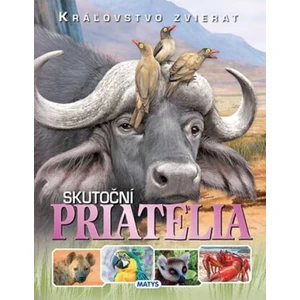 Skutoční priatelia