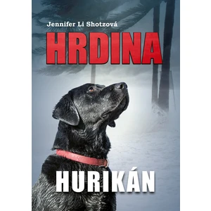 Hrdina Hurikán - Jennifer Li Shotzová