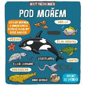 Pod mořem