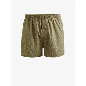 Khaki Men's Patterned Shorts Celio Fiwobrin