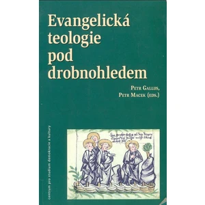 Evangelická teologie pod drobnohledem - Gallus Petr, Macek Petr