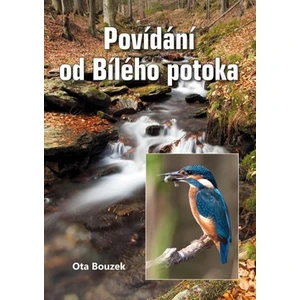 Povídání od Bílého potoka - Ota Bouzek